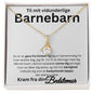 Gave til barnebarn, personlig halskæde og kort.